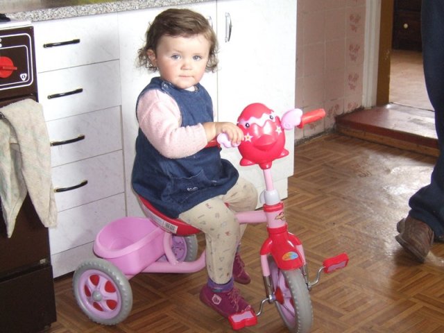 m_dscf0809